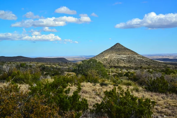 Agave, yucca, kaktüs ve çöl bitkileri New Mexico 'daki bir dağ vadisinde., 