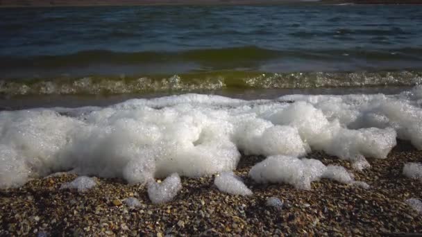 Skum Sjön Stranden Grund Smutsigt Vatten Övergödning Naturliga Vatten Ekologi — Stockvideo