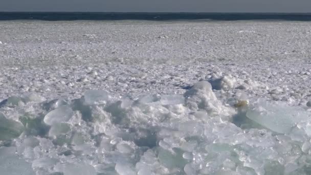 Mar Negro Congelado Pedaços Blocos Gelo Marinho Balançando Água Perto — Vídeo de Stock