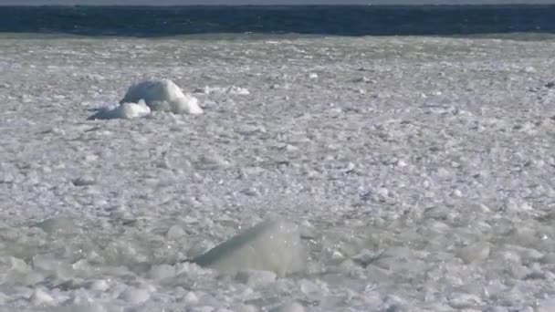 Bevroren Zwarte Zee Brokken Blokken Zeeijs Wapperend Het Water Bij — Stockvideo