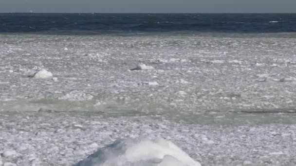 Mar Negro Congelado Trozos Bloques Hielo Marino Balanceándose Agua Cerca — Vídeos de Stock