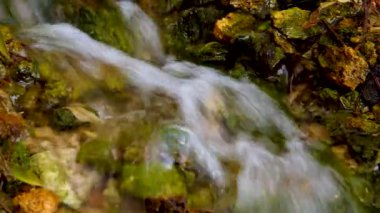 Küçük bir şelale, pınardan akan hızlı bir tatlı su akıntısı. Ukrayna