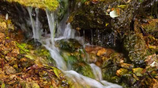 Невеликий Водоспад Швидкий Потік Прісної Води Витікає Джерела Україна — стокове відео