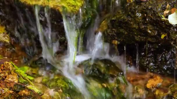 一个小瀑布 一股湍急的淡水从泉水中流出 乌克兰 — 图库视频影像