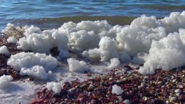 Suda ve deniz kıyısında kirli köpük, ötrofikasyon, rezervuarın kirlenmesi, ekolojik sorun