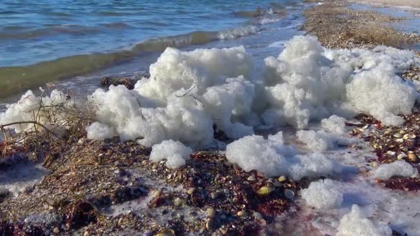 Smutsigt Skum Vatten Och Till Havs Övergödning Förorening Dammen Ekologiskt — Stockvideo