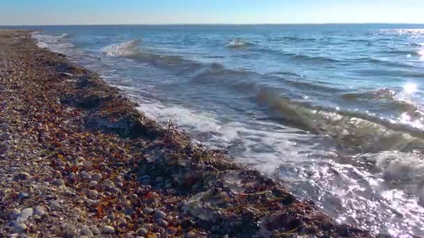 Dirty Foam Water Seashore Eutrophication Pollution Reservoir Ecological Problem — Stock Video