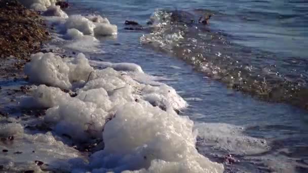 Suda Deniz Kıyısında Kirli Köpük Ötrofikasyon Rezervuarın Kirlenmesi Ekolojik Sorun — Stok video