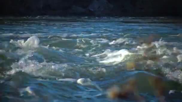 Akıntı Suyu Patlayan Ekoloji Arkaplanı Öfkeli Temiz Akışı — Stok video