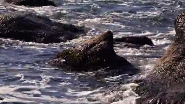 Fale Morskie Zderzają Się Kamieniem Burzliwym Morzem Oślepiają Wodę Morze — Wideo stockowe