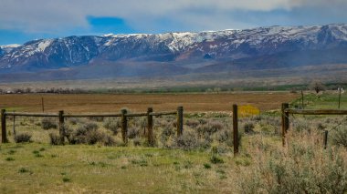 Dağ manzarası, Montana, ABD 'de baharda dağlarda kar.