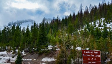 Karlı orman. Kozalaklı ağaçların arka planında bilgi işareti. Orman manzarası. Montana
