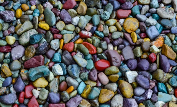 Multi Colored Pebbles Interior Colored Pebbles Montana — Stock Photo, Image