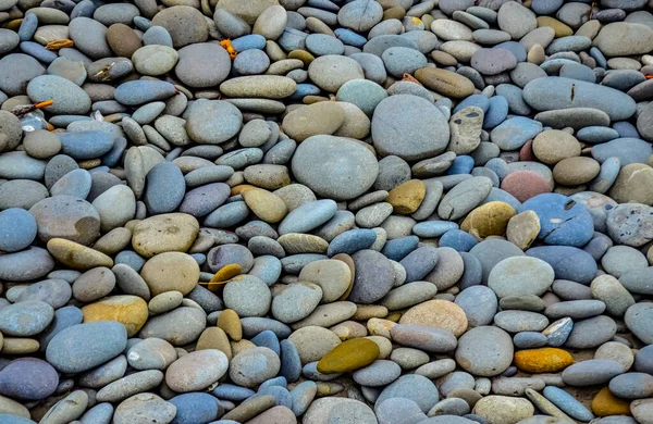 Multicolored Pebble Stones Pacific Ocean Olympic National Park Washington Usa — Stock Photo, Image