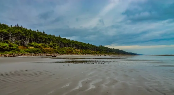 Large Plage Sable Fin Dans Parc National Olympique Washington États — Photo