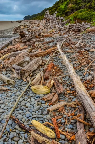 Trunks Van Omgevallen Bomen Bij Stille Oceaan Olympic National Park — Stockfoto