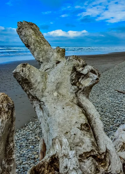 Olimpiyat Ulusal Park Washington Abd Pasifik Okyanusu Nda Dalgaların Çekildiği — Stok fotoğraf