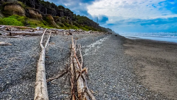 Olimpiyat Ulusal Park Washington Abd Pasifik Okyanusu Nda Dalgaların Çekildiği — Stok fotoğraf