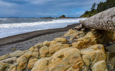 Olympic National Park 'taki çakıl taşı plajı, Washington, ABD