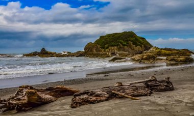 Olimpiyat, Ulusal Park, Washington, ABD 'de Pasifik Okyanusu' nda dalgaların çekildiği yerde devrilmiş ağaç gövdeleri.