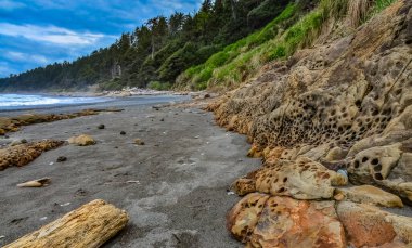 Pasifik Okyanusu kıyılarında, Washington, ABD 'deki Olimpiyat Ulusal Parkı' nda kabuklu deniz ürünleri sondajından delik deşik olmuş renkli kayalar.