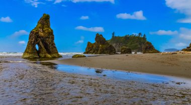 Deniz manzarası. Pasifik Okyanusu kıyısındaki küçük adalar ve kayalar Olympic National Park, Washington, ABD