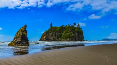 Deniz manzarası. Pasifik Okyanusu kıyısındaki küçük adalar ve kayalar Olympic National Park, Washington, ABD