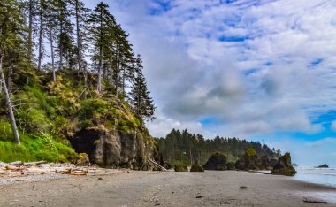 Deniz manzarası. Pasifik Okyanusu kıyısındaki küçük adalar ve kayalar Olympic National Park, Washington, ABD