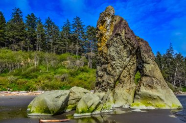 Deniz manzarası. Pasifik Okyanusu kıyısındaki küçük adalar ve kayalar Olympic National Park, Washington, ABD