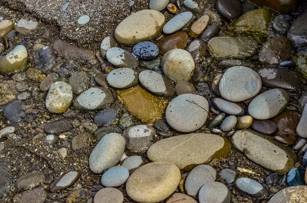 Színes Kerek Kavicskövek Csendes Óceánon Olympic National Parkban Washington Usa — Stock Fotó