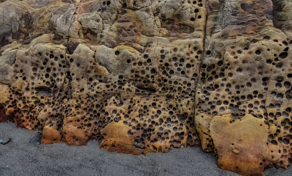 Colorful rocks with holes from drilling shellfish on the shores of the Pacific Ocean in Olympic National Park, Washington, USA