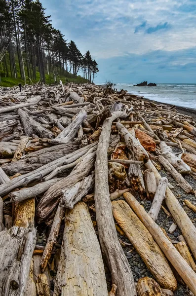 Olimpiyat Ulusal Park Washington Abd Pasifik Okyanusu Nda Dalgaların Çekildiği — Stok fotoğraf
