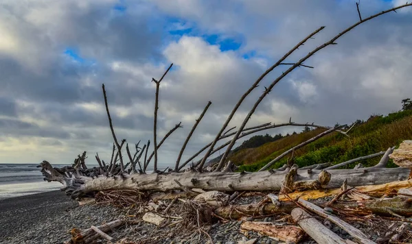 Olimpiyat Ulusal Park Washington Abd Pasifik Okyanusu Nda Dalgaların Çekildiği — Stok fotoğraf