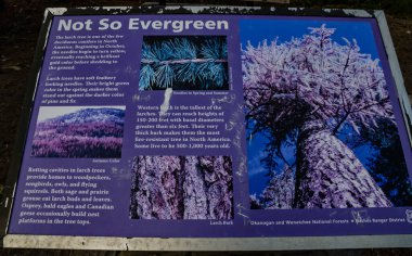 Washington, ABD - Mayıs 01, 2018 - Bilgi işareti 