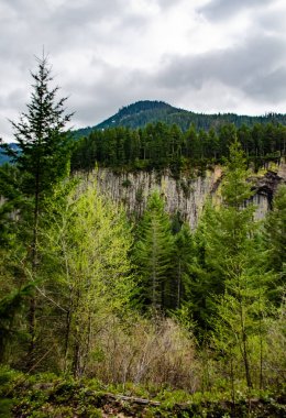 Katı lav sütunlarının jeolojik oluşumlarının görüntüsü, ABD