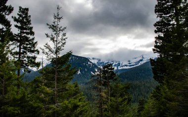 Rainer Bakış açısı. Karda dağlar, odunla kaplanmış. Dağların üzerinde kalın bulutlar. Montana, ABD