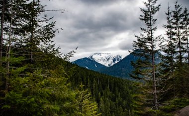 Rainer Bakış açısı. Karda dağlar, odunla kaplanmış. Dağların üzerinde kalın bulutlar. Montana, ABD