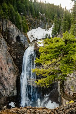 Clear Creek Falls, Wenatchee Ulusal Ormanı. Rainier Ulusal Parkı, Washington ABD
