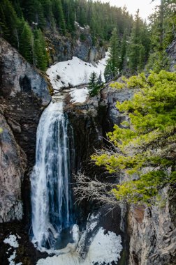 Clear Creek Falls, Wenatchee Ulusal Ormanı. Rainier Ulusal Parkı, Washington ABD