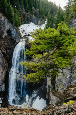 Clear Creek Falls, Wenatchee Ulusal Ormanı. Rainier Ulusal Parkı, Washington ABD