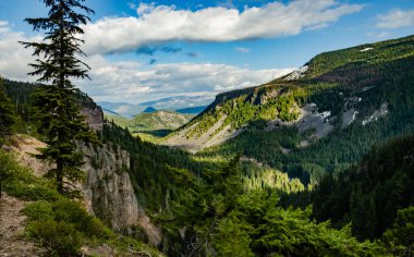 Yoğun ormanlarla kaplı yüksek dağlar, uzakta bir göl. Montana, ABD