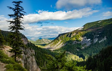 Yoğun ormanlarla kaplı yüksek dağlar, uzakta bir göl. Montana, ABD