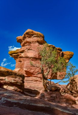 Eritilmiş kırmızı kumtaşı oluşumları. Tanrıların Bahçesi, Colorado Springs, Colorado, ABD