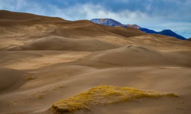Çöl manzarası, Great Sand Dunes Ulusal Parkı, Colorado, ABD