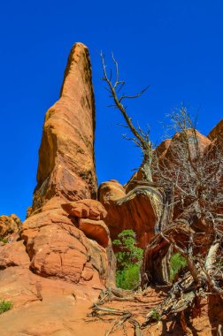 Eritilmiş manzara, Arches Ulusal Parkı, Moab, Utah, ABD