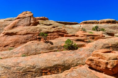 Eritilmiş manzara, Arches Ulusal Parkı, Moab, Utah, ABD