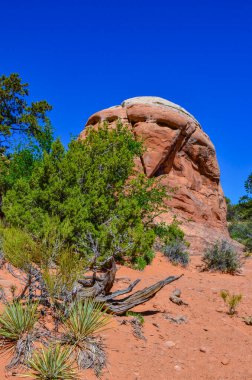 Eritilmiş manzara, Arches Ulusal Parkı, Moab, Utah, ABD