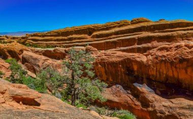 Eritilmiş manzara, Arches Ulusal Parkı, Moab, Utah, ABD