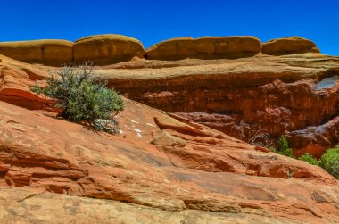 Eritilmiş manzara, Arches Ulusal Parkı, Moab, Utah, ABD