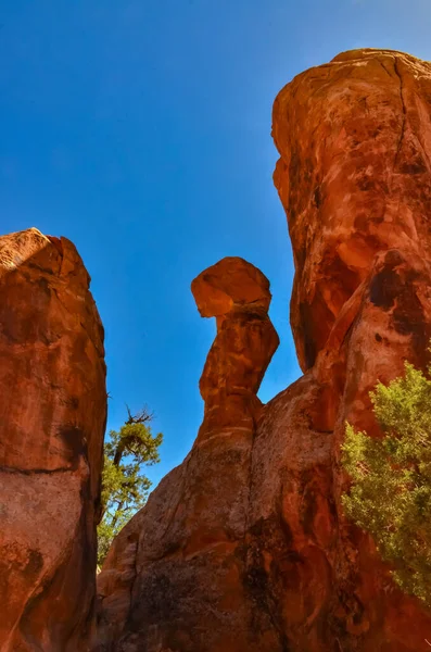 Paisaje Erosionado Parque Nacional Arches Moab Utah Estados Unidos — Foto de Stock